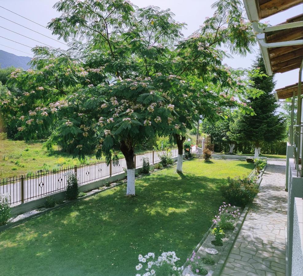 Zisis Garden Studios Ioannina Exterior photo