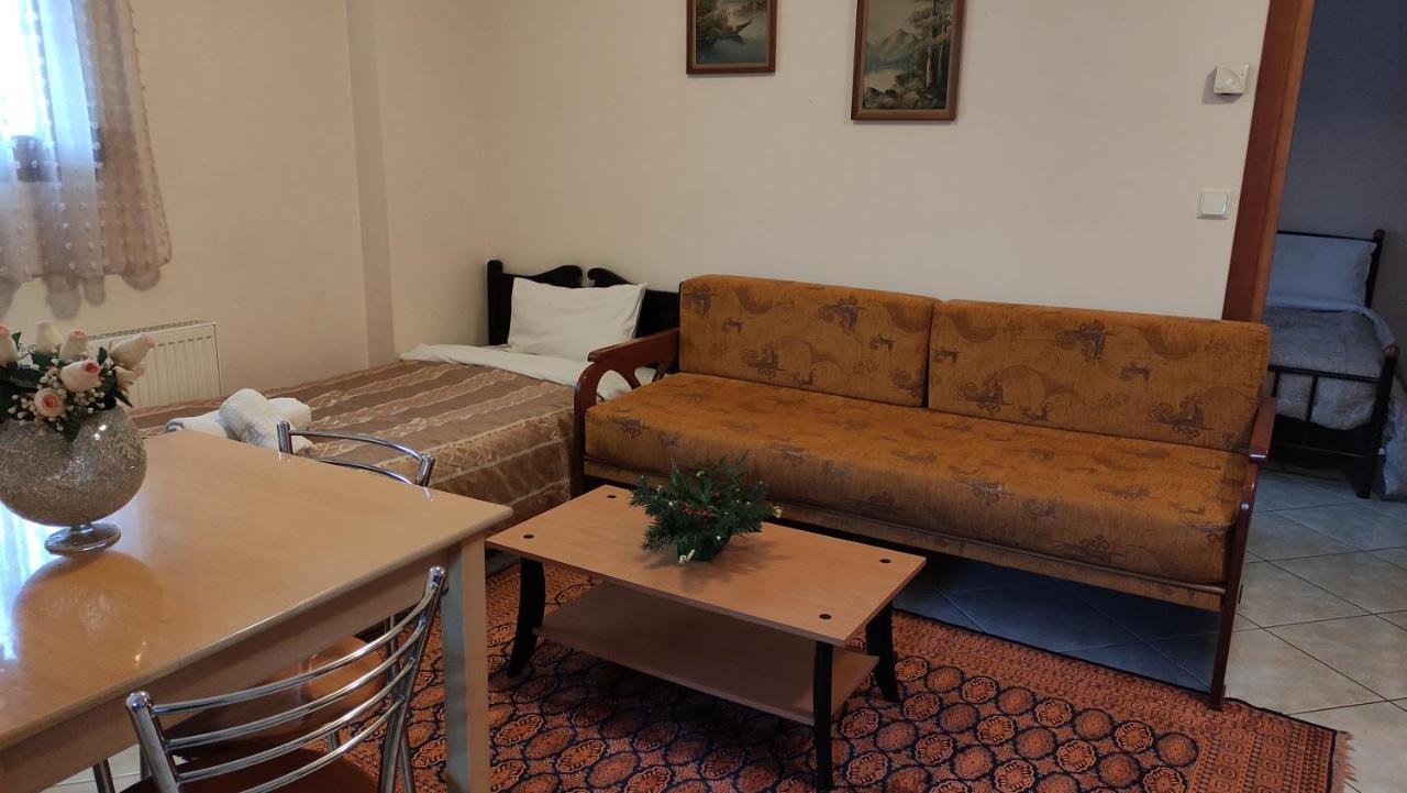 Zisis Garden Studios Ioannina Exterior photo
