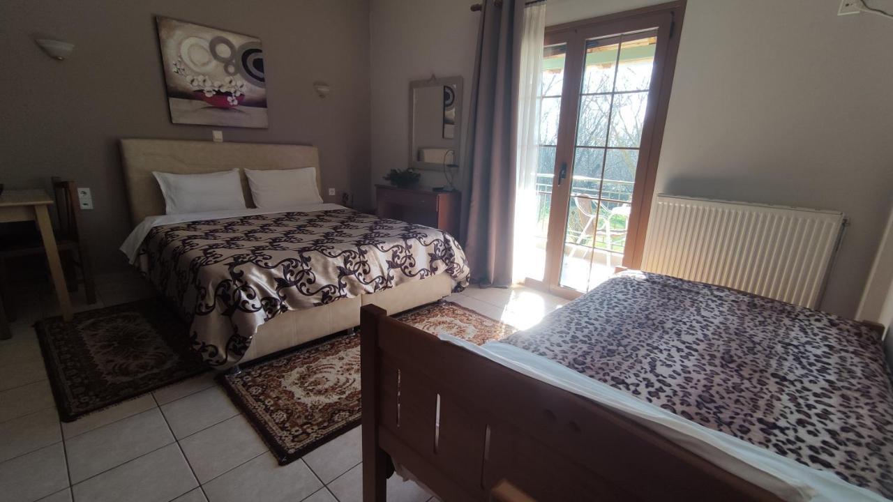 Zisis Garden Studios Ioannina Exterior photo