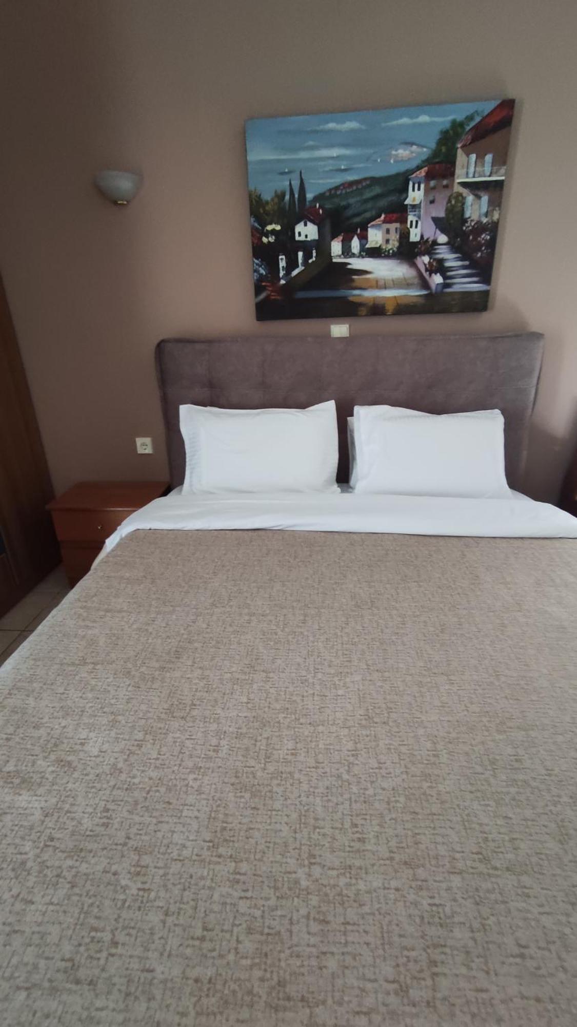 Zisis Garden Studios Ioannina Room photo
