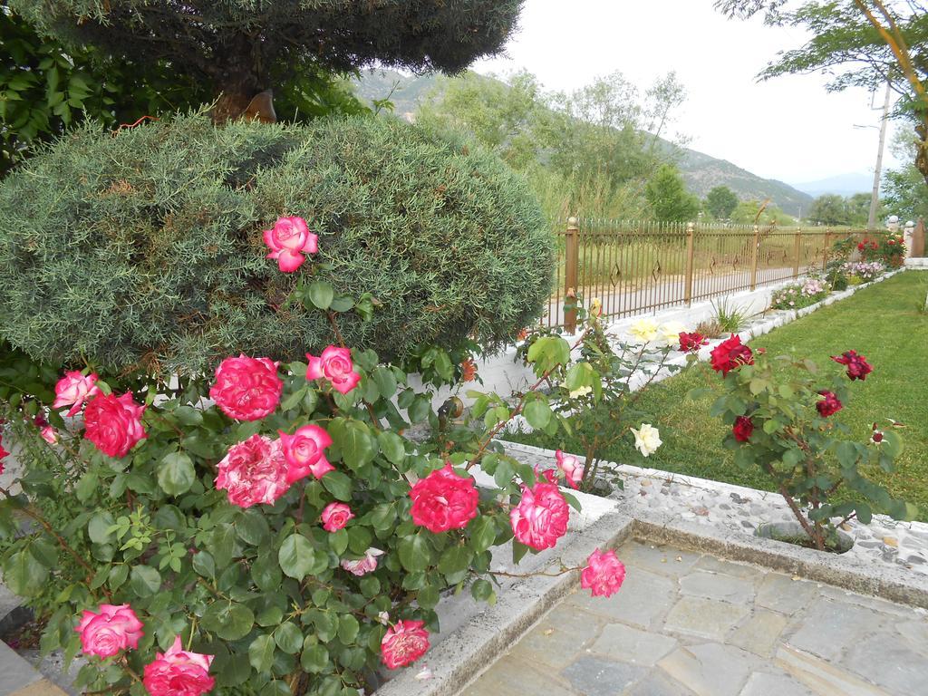 Zisis Garden Studios Ioannina Exterior photo