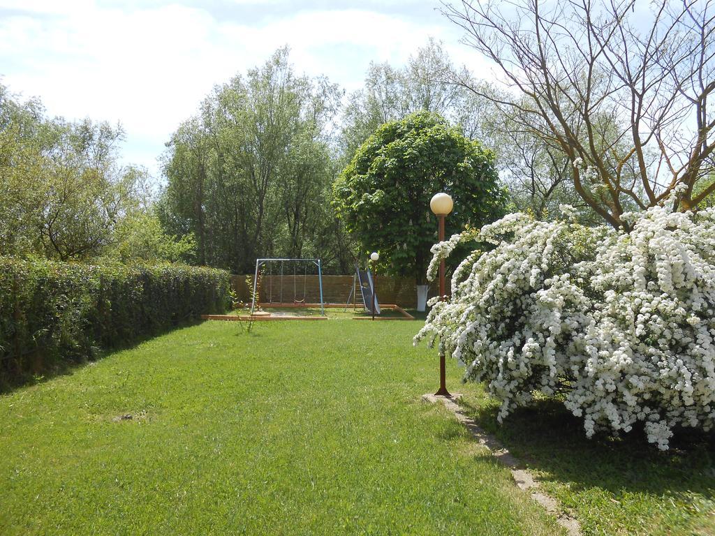 Zisis Garden Studios Ioannina Exterior photo