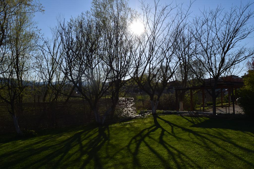 Zisis Garden Studios Ioannina Exterior photo