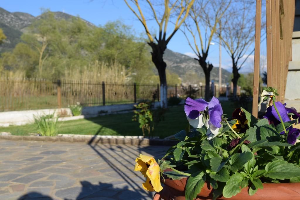 Zisis Garden Studios Ioannina Exterior photo