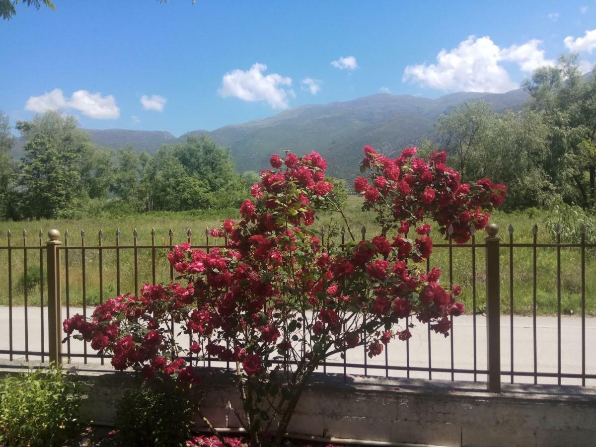 Zisis Garden Studios Ioannina Exterior photo