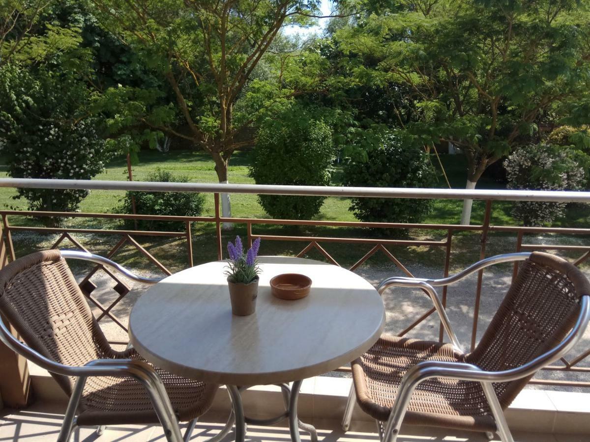 Zisis Garden Studios Ioannina Exterior photo